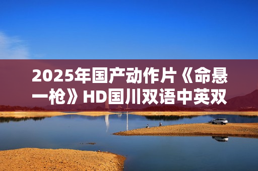 2025年国产动作片《命悬一枪》HD国川双语中英双字