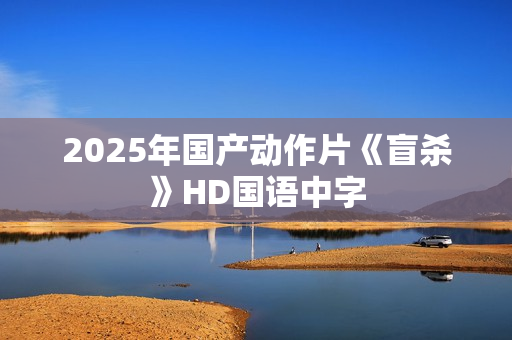 2025年国产动作片《盲杀》HD国语中字