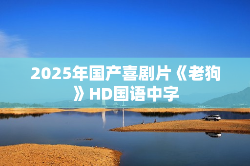 2025年国产喜剧片《老狗》HD国语中字