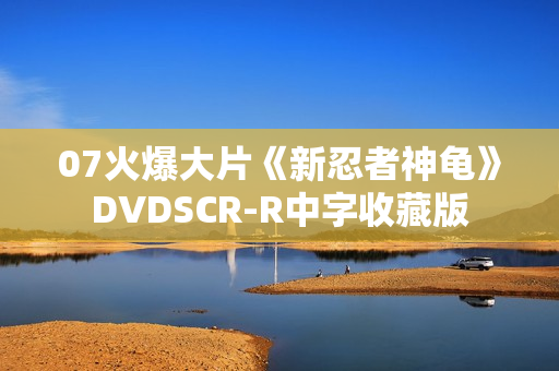 07火爆大片《新忍者神龟》DVDSCR-R中字收藏版