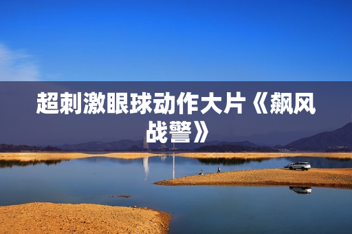 超刺激眼球动作大片《飙风战警》