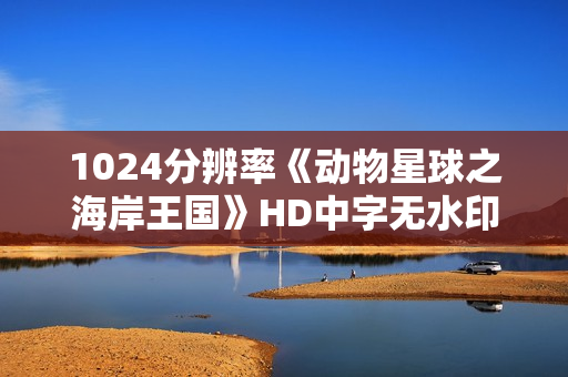 1024分辨率《动物星球之海岸王国》HD中字无水印