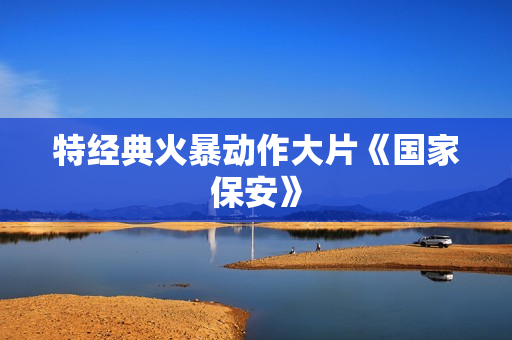 特经典火暴动作大片《国家保安》