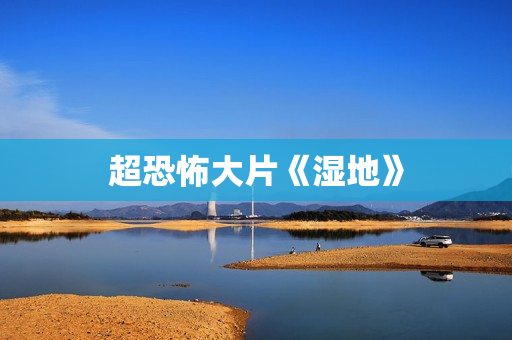 超恐怖大片《湿地》