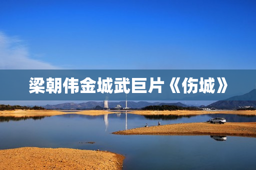 梁朝伟金城武巨片《伤城》