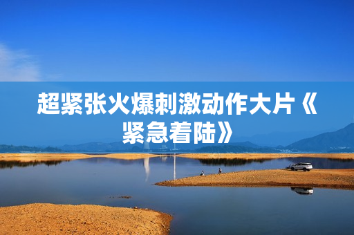 超紧张火爆刺激动作大片《紧急着陆》