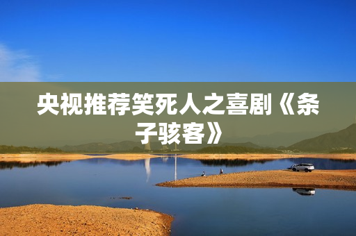 央视推荐笑死人之喜剧《条子骇客》