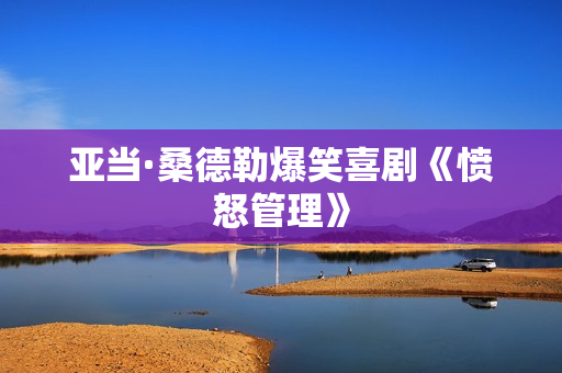 亚当·桑德勒爆笑喜剧《愤怒管理》