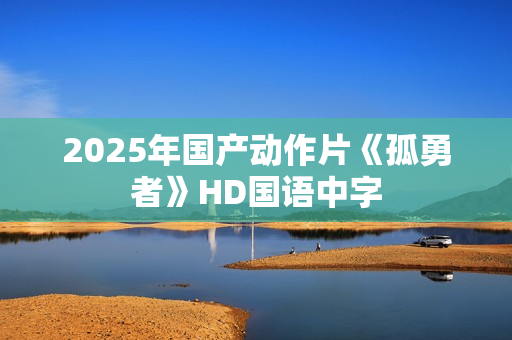 2025年国产动作片《孤勇者》HD国语中字