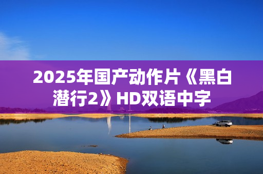 2025年国产动作片《黑白潜行2》HD双语中字