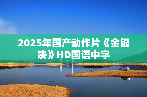 2025年国产动作片《金银决》HD国语中字