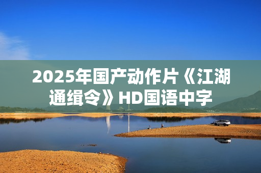 2025年国产动作片《江湖通缉令》HD国语中字