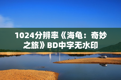 1024分辨率《海龟：奇妙之旅》BD中字无水印