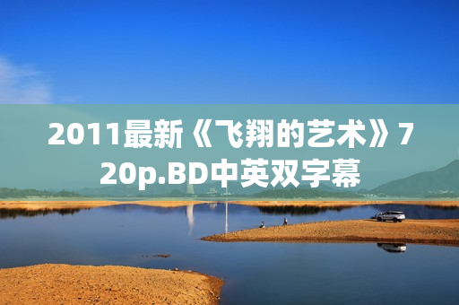 2011最新《飞翔的艺术》720p.BD中英双字幕