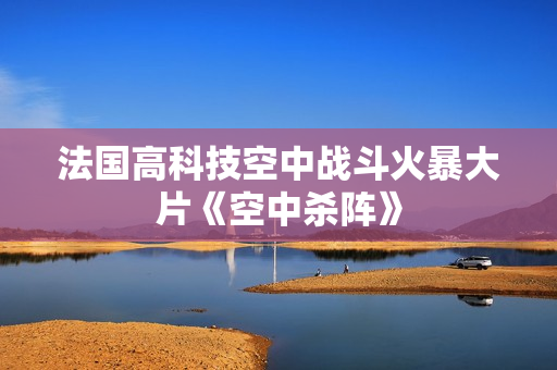 法国高科技空中战斗火暴大片《空中杀阵》