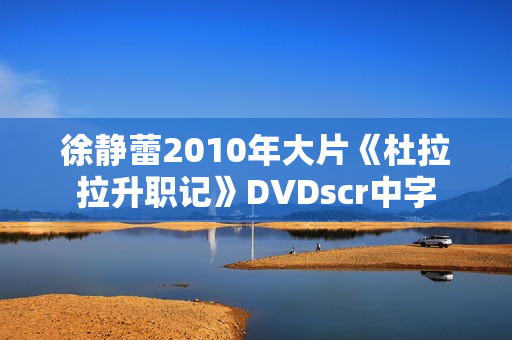 徐静蕾2010年大片《杜拉拉升职记》DVDscr中字