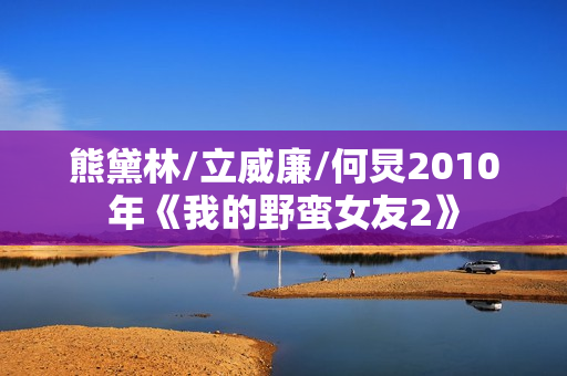 熊黛林/立威廉/何炅2010年《我的野蛮女友2》