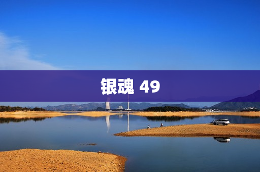 银魂 49