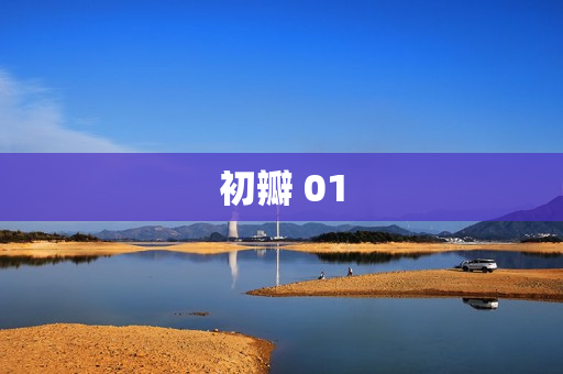 初瓣 01