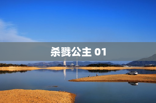 杀戮公主 01