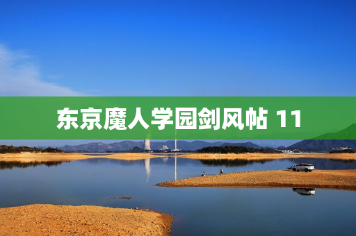 东京魔人学园剑风帖 11