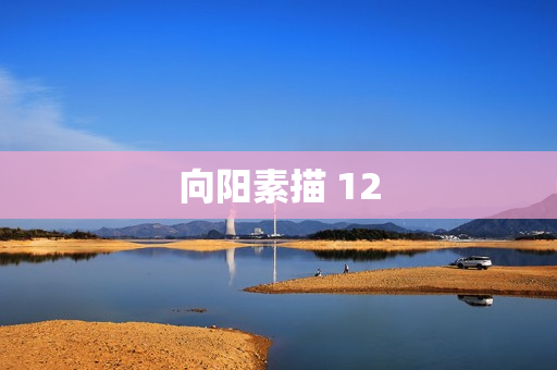 向阳素描 12