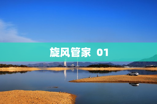 旋风管家  01