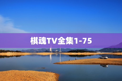 棋魂TV全集1-75