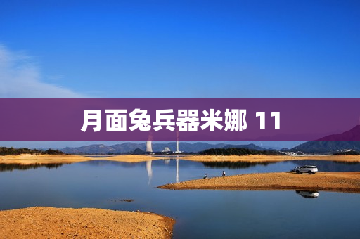 月面兔兵器米娜 11