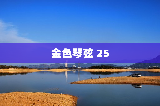 金色琴弦 25