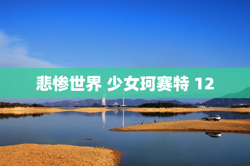 悲惨世界 少女珂赛特 12
