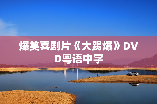 爆笑喜剧片《大踢爆》DVD粤语中字