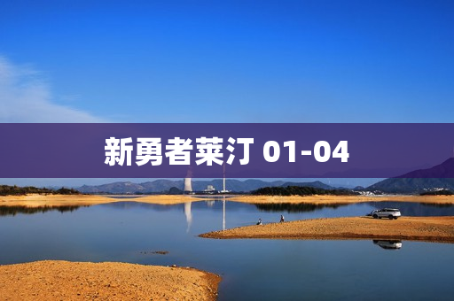 新勇者莱汀 01-04