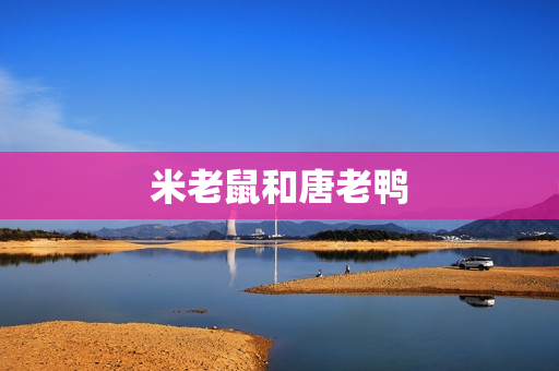 米老鼠和唐老鸭