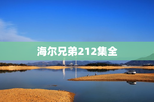海尔兄弟212集全