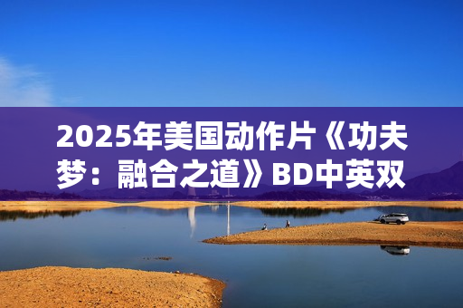 2025年美国动作片《功夫梦：融合之道》BD中英双字