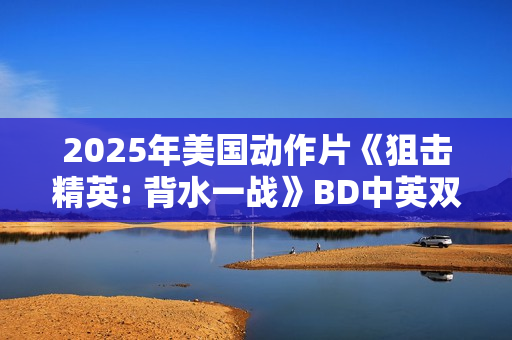 2025年美国动作片《狙击精英: 背水一战》BD中英双字