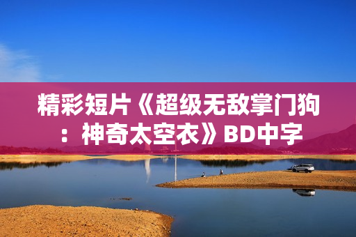 精彩短片《超级无敌掌门狗：神奇太空衣》BD中字