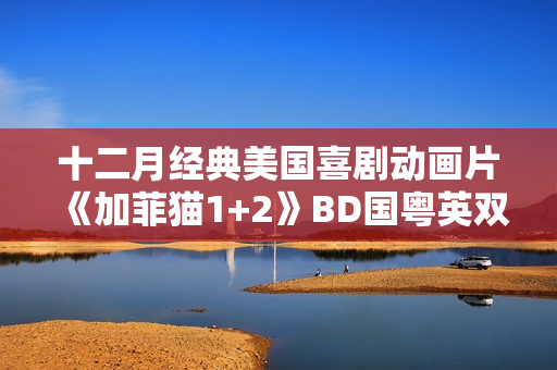 十二月经典美国喜剧动画片《加菲猫1+2》BD国粤英双字