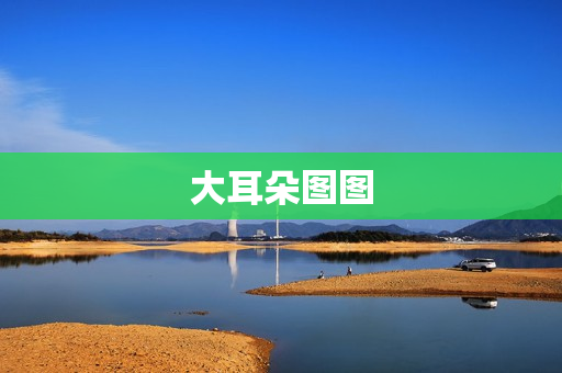 大耳朵图图