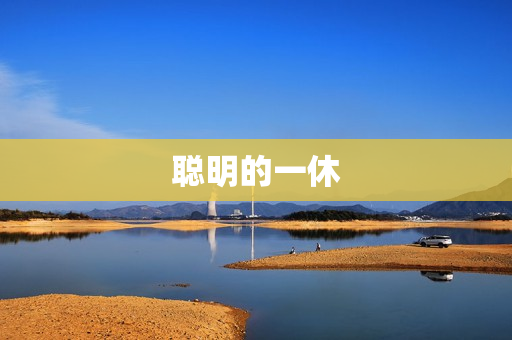 聪明的一休