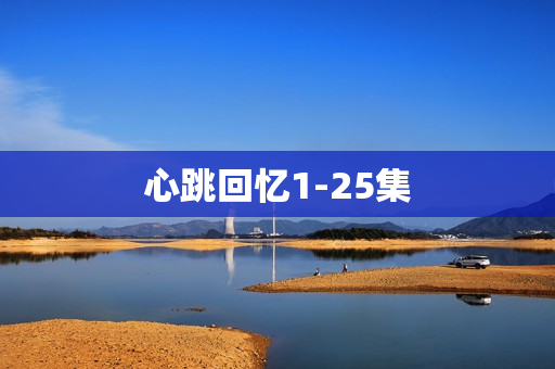 心跳回忆1-25集