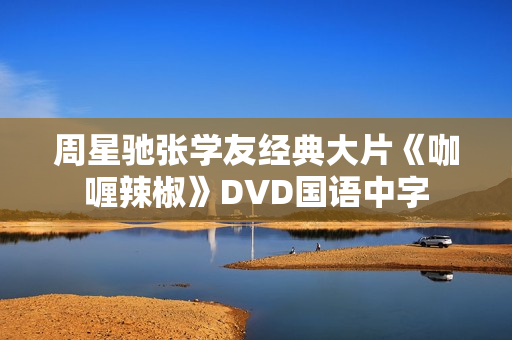 周星驰张学友经典大片《咖喱辣椒》DVD国语中字