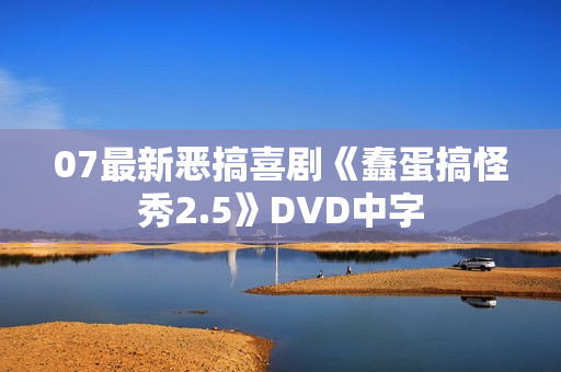 07最新恶搞喜剧《蠢蛋搞怪秀2.5》DVD中字