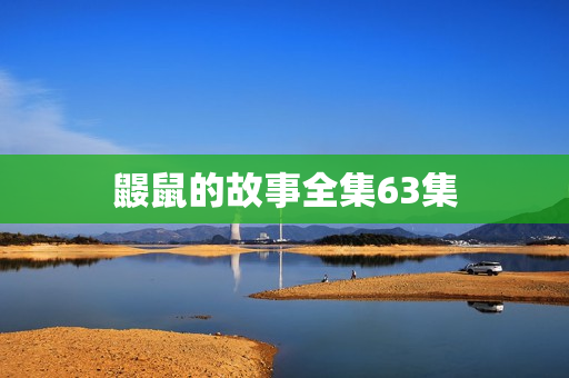 鼹鼠的故事全集63集