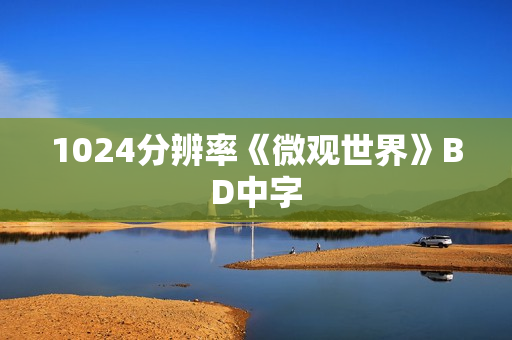 1024分辨率《微观世界》BD中字