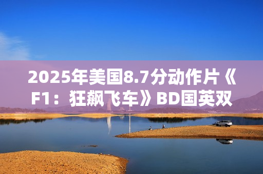 2025年美国8.7分动作片《F1：狂飙飞车》BD国英双语中英双字