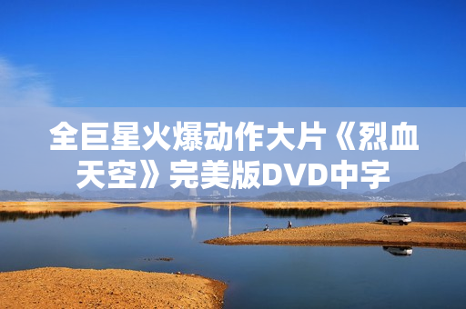 全巨星火爆动作大片《烈血天空》完美版DVD中字