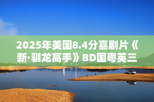 2025年美国8.4分喜剧片《新·驯龙高手》BD国粤英三语中英双字