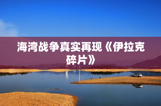 海湾战争真实再现《伊拉克碎片》